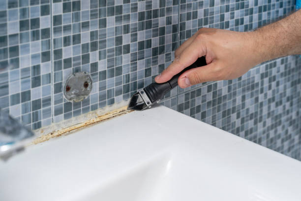 Trusted Groveland, ID Mold Removal Experts
